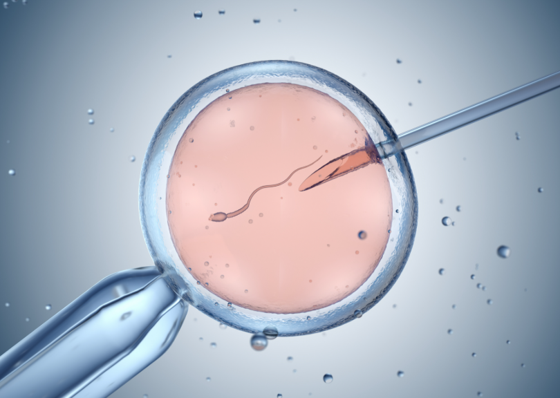 ivf process step by step